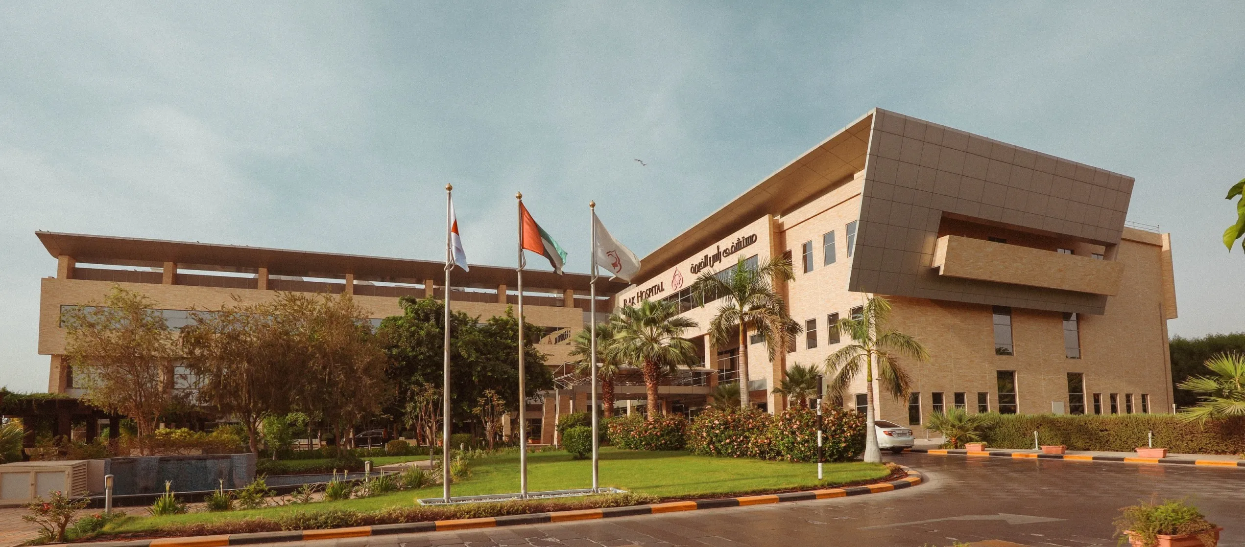 Eczema and Flare-Ups Increase During UAE Winters, RAK Hospital Expert Advises on Care